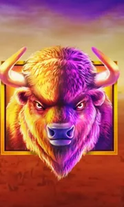 Buffalo King
